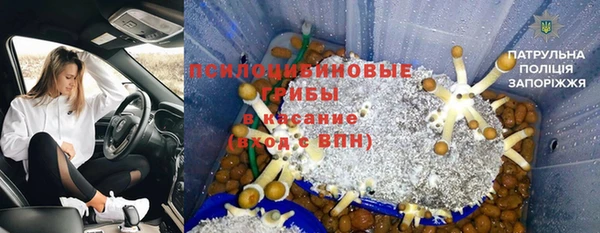 mdpv Киреевск