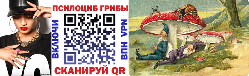 Галлюциногенные грибы MAGIC MUSHROOMS Называевск